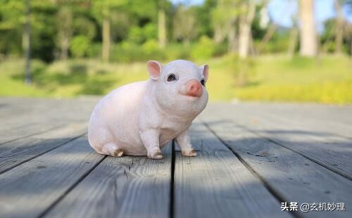 犯太岁生肖下半年运势,2018年犯太岁的5个生肖是什么