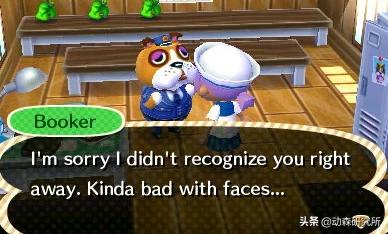 动森npc,动森能邀请几个npc来岛上居住