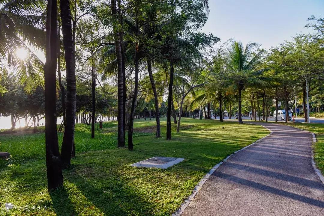 离尘不离城尚峰一号,离尘不离城丽水