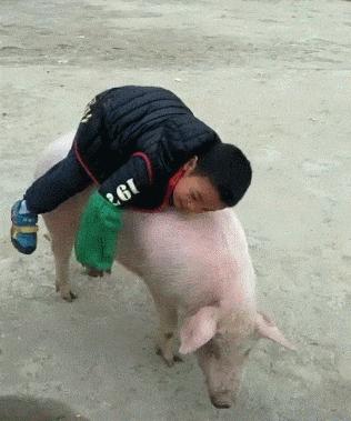 球不是这样踢滴搞笑图片,足球趣图搞笑图片