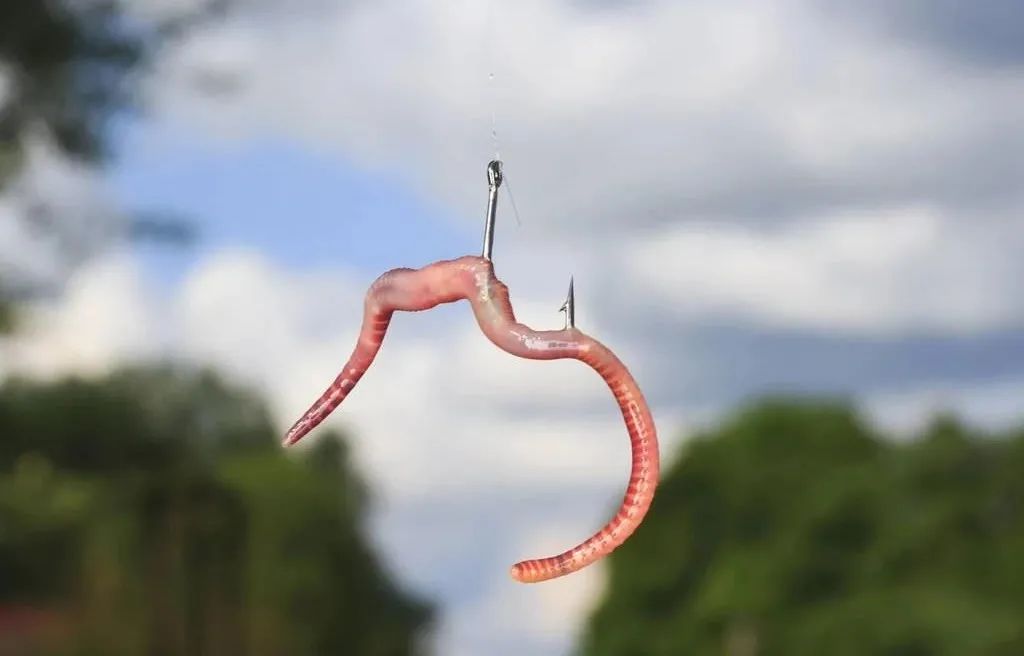 小鱼老往水面上跑怎么办,钓鱼怎么解决挡口问题