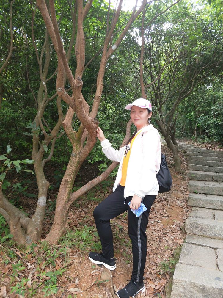 520,别样塘朗山!六约微马2019我们一起走第十二站塘朗山