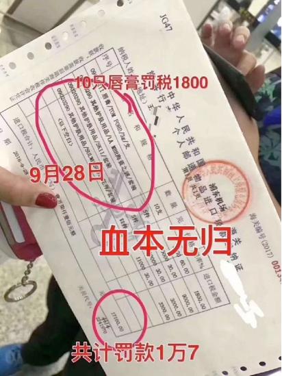 代购免责声明,代购出问题谁负责