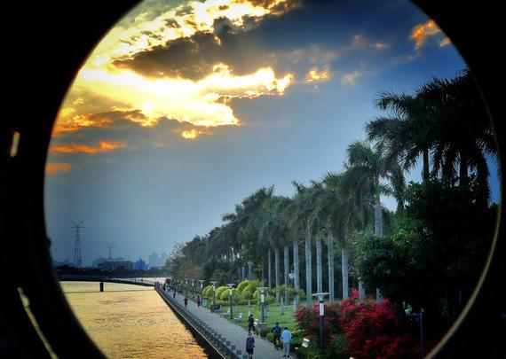 鸽群飞翔,鸽群翱翔蓝天视频