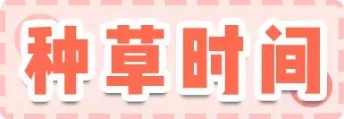 5款超好闻的沐浴露香到离谱,又好用又优惠又喷香的沐浴露