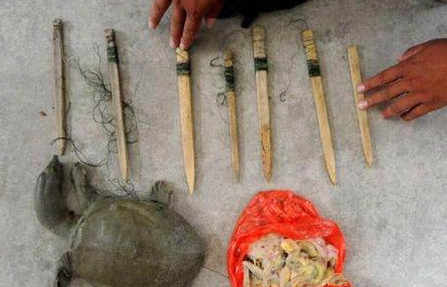 渔人钓鱼技巧视频,祖传千年钓甲鱼秘方