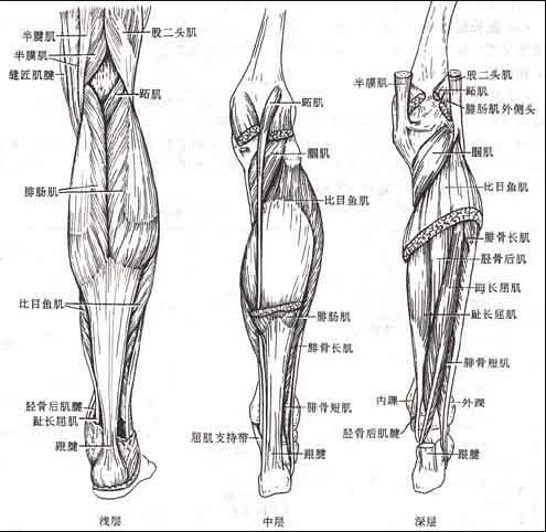 脚后跟部痒水肿,脚后跟酸胀刺痛