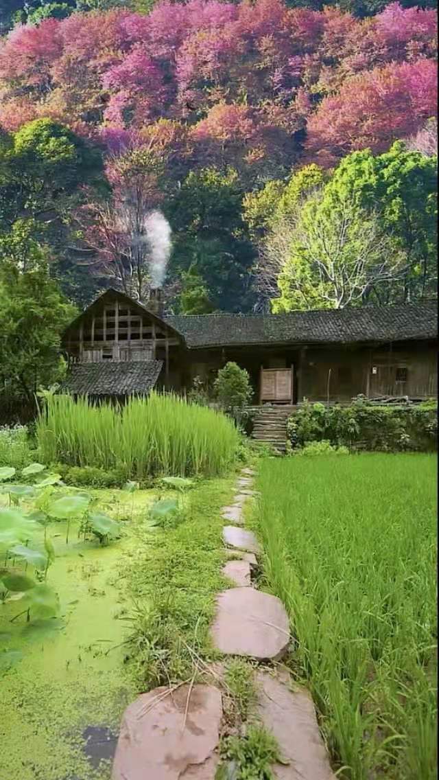 《刀光侠影》124绣战袍姑嫂不眠夜射强寇将军挽神弓