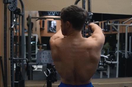 三分化训练之拉力训练,新手健身增肌在家如何高强度训练