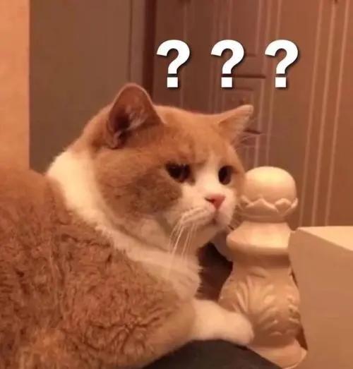 你的头发里藏着一座坟,你的头发蕴藏着一个完整的梦