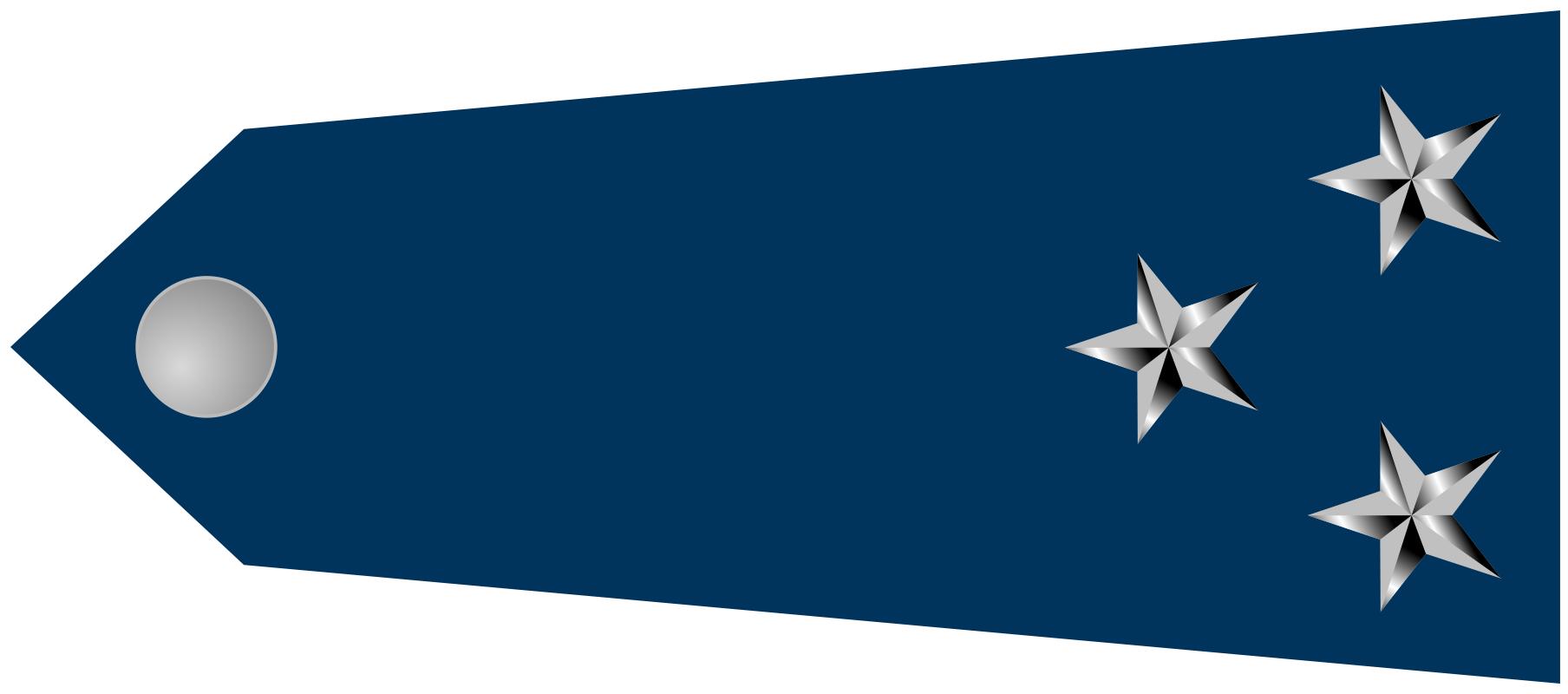 巴西军队标志,巴西海军军衔