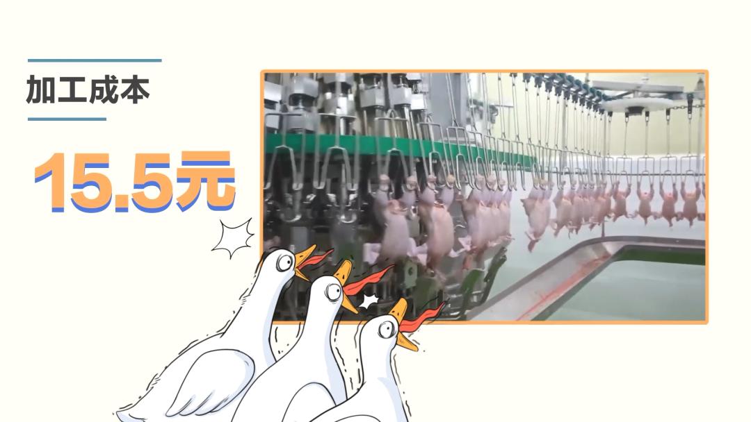 街边售卖的18元烤鸭,街边18元一只烤鸭哪个部位不能吃