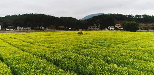 女神节礼物正在配送,江西明月山女神节免票活动开启