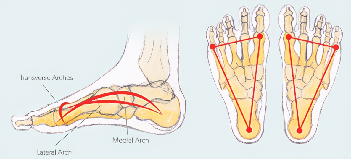 动作学院课程,动作学院体能培训