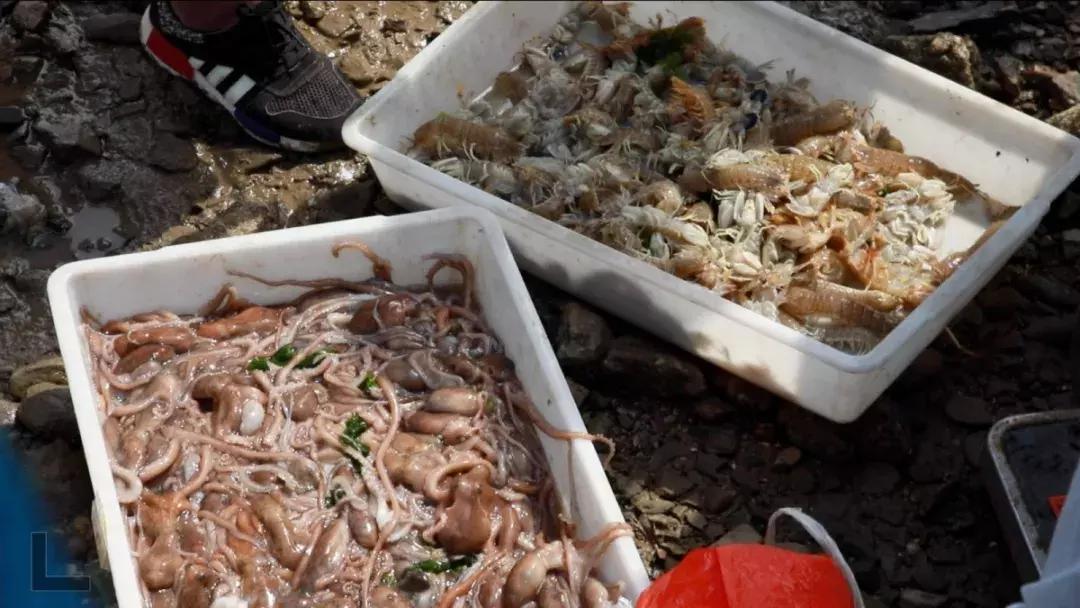 有一种炫富叫青岛开海啦,青岛炫富最新方式