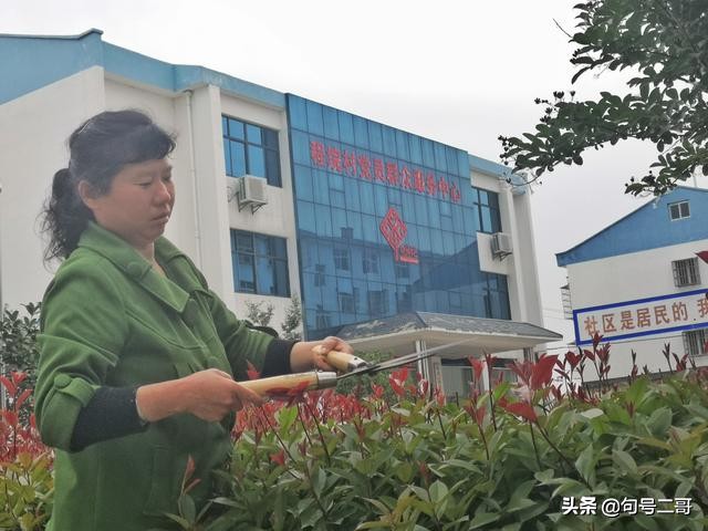 湖北省云梦县美丽乡村行,云梦伍洛美丽乡村