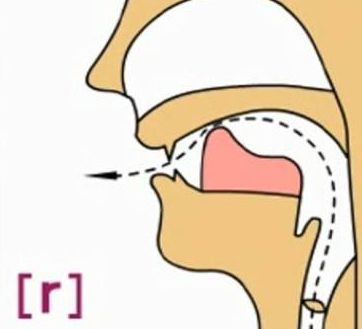 不要再读成“印贼做父”了，R音的正确发音是这样的