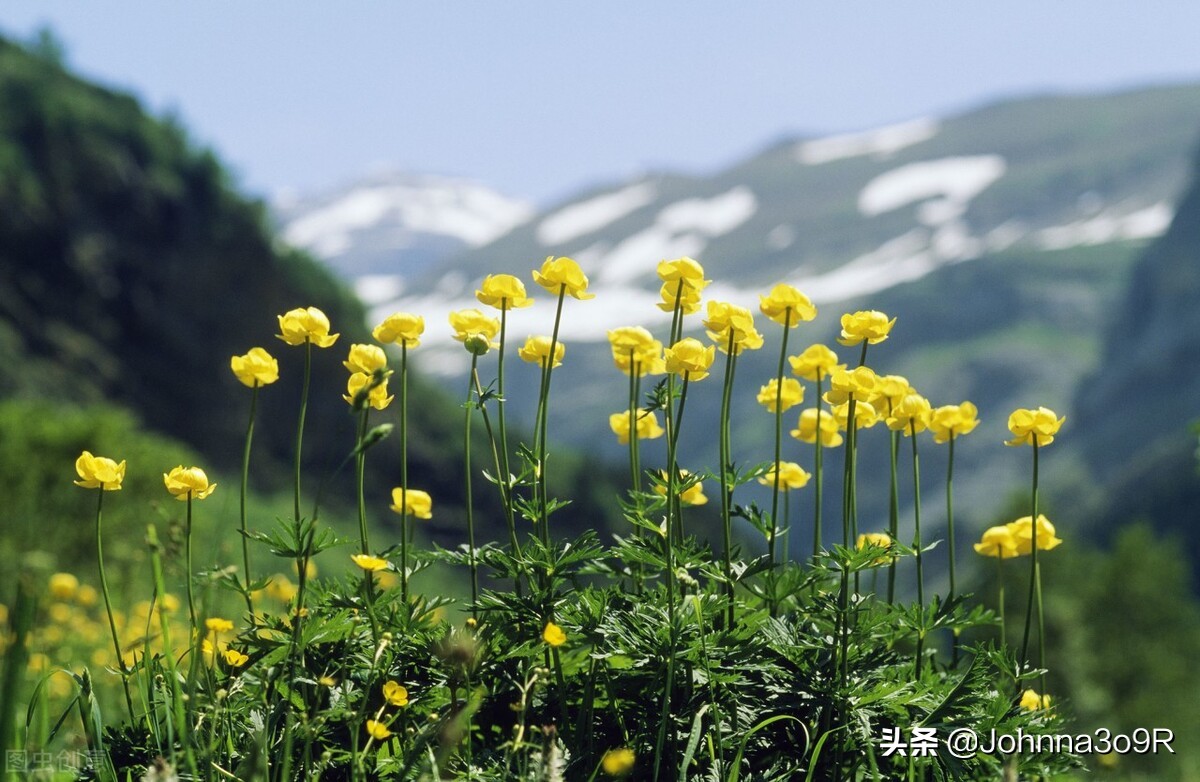 赶紧收藏起来的素材,写作素材必备100个