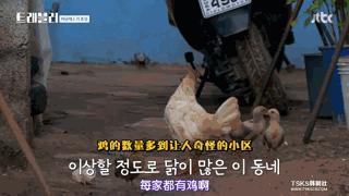 一集就被打脸，旅游还是这样的“丑”男神好玩啊，处处都是大惊喜