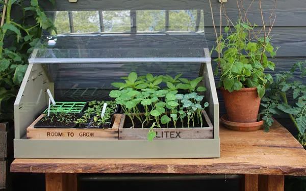 9款花园趁手好工具，用了之后，腰不疼腿不酸了