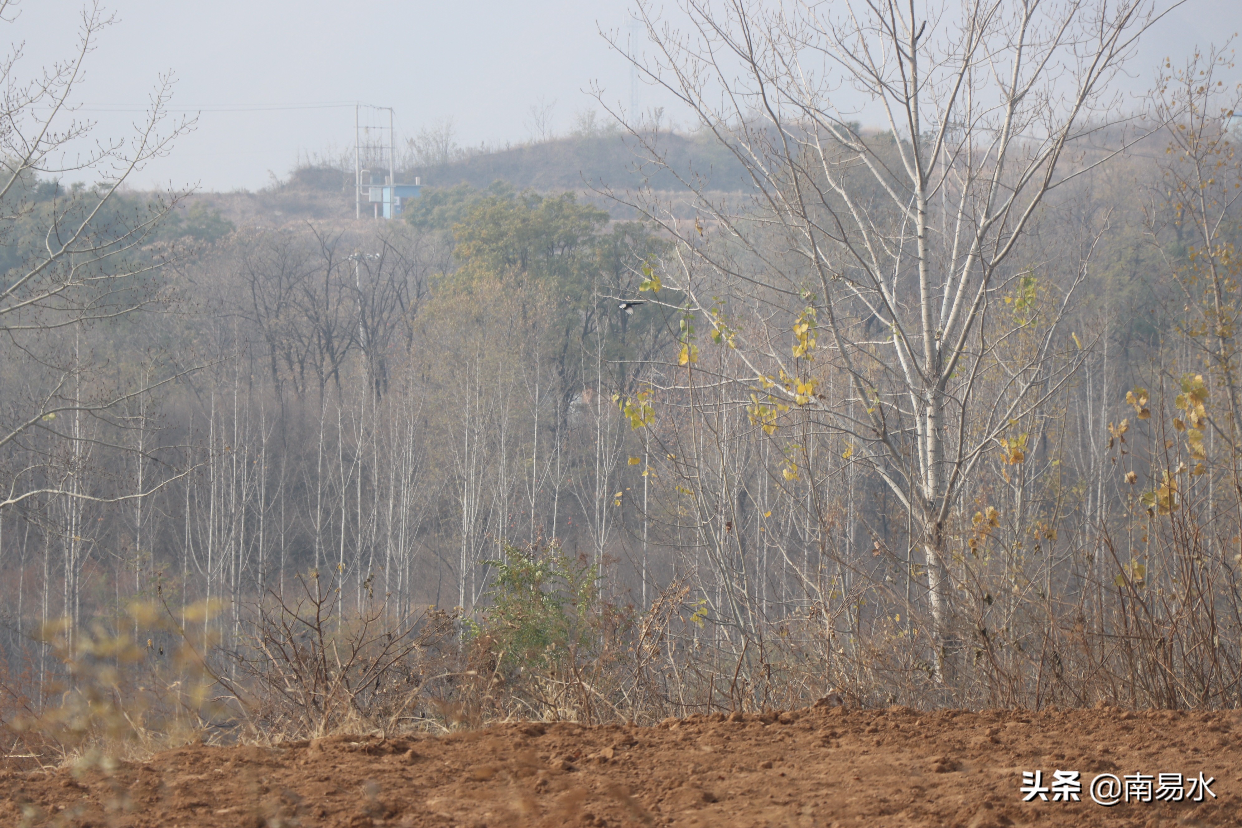 家乡风景带你一起感受自然的味道,令你难以忘怀的家乡的味道