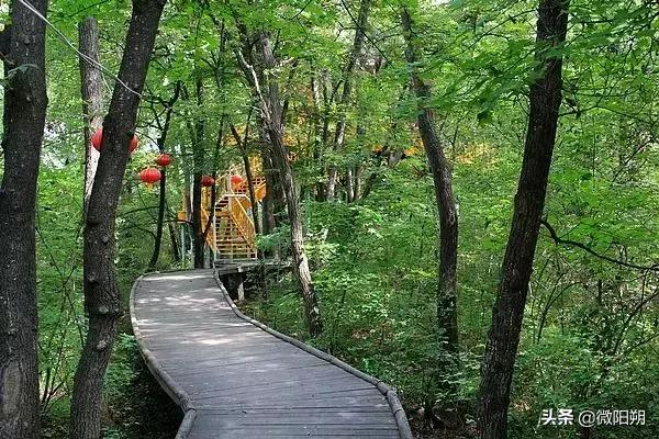 桂林出游农家乐,桂林附近避暑的农家乐