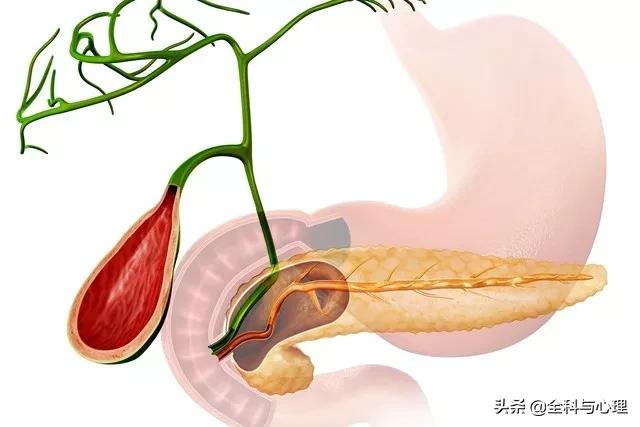 你生命中不可承受的肥胖危机,你生命中不可承受的肥胖危机内容