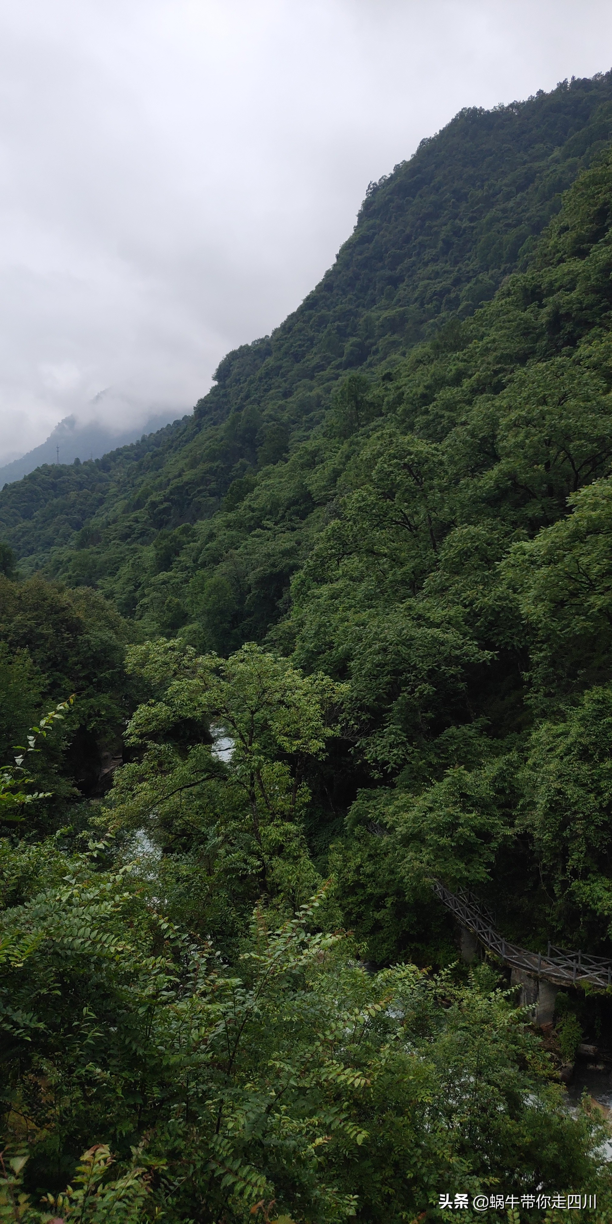 成都到西藏旅游一家三口,成都出发三天两夜旅行套票