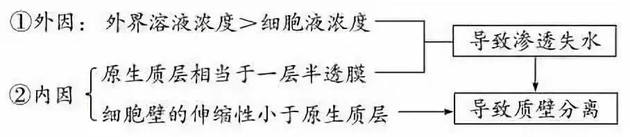 云南高中会考生物实验操作,生物显微镜实验视频高中