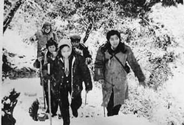 朱琳和徐少华不为人知的故事,朱琳和徐少华合照图文