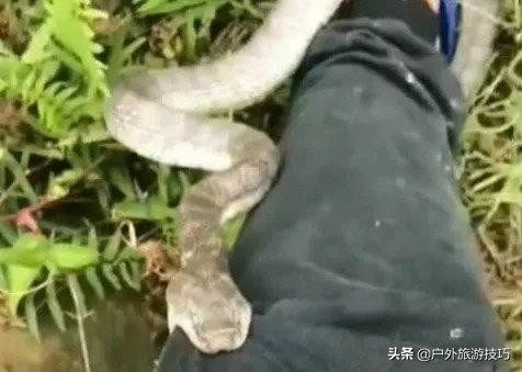 夜钓怎样防蛇进身边,夜钓防蛇最简单方法