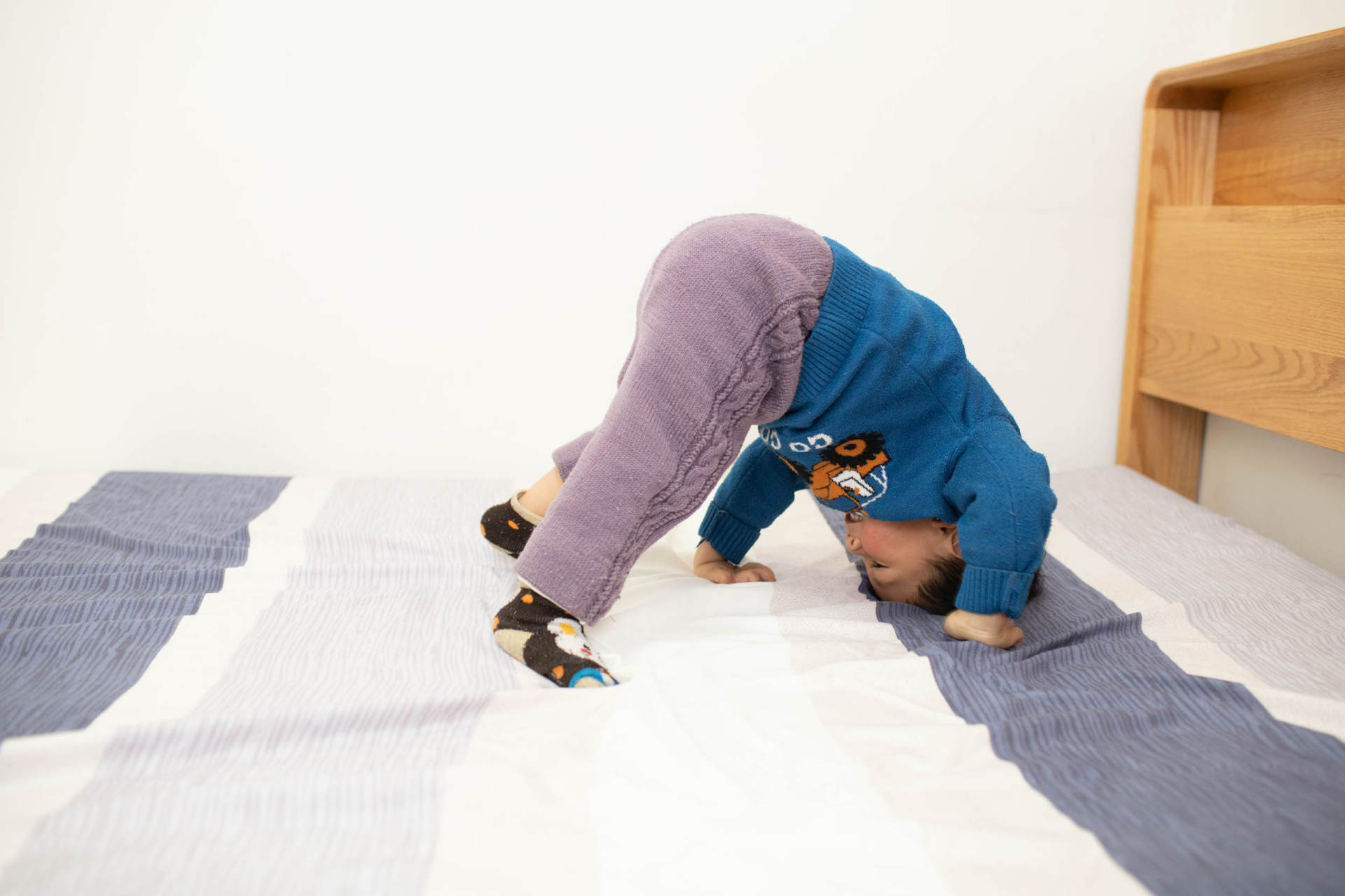 软硬双面，轻松打理，8H乳胶床垫2使用体验