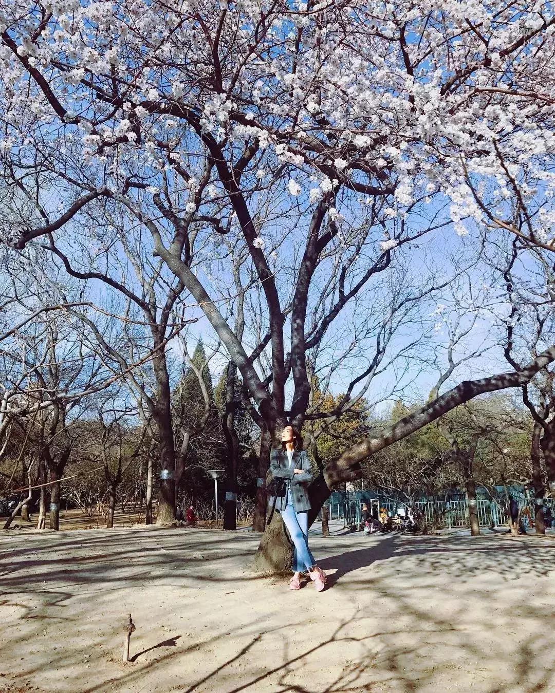 刘雯ins视频完整版,刘雯ins最新消息