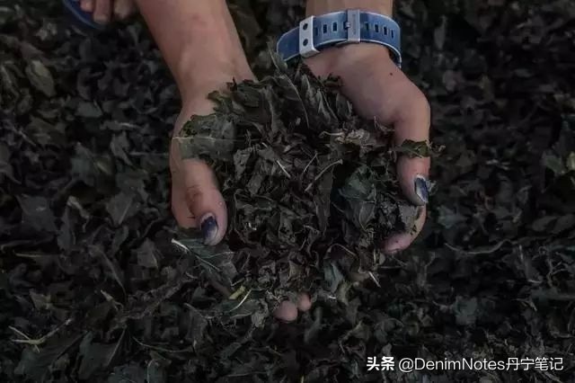 蓝染的正确方法,蓝染方法