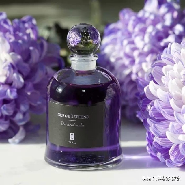 芦丹氏深渊书简价格,芦丹氏深渊书简鉴定