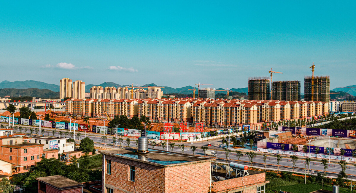 广德市的经济发展，竹子有贡献吗？这都是广德人不说的秘密