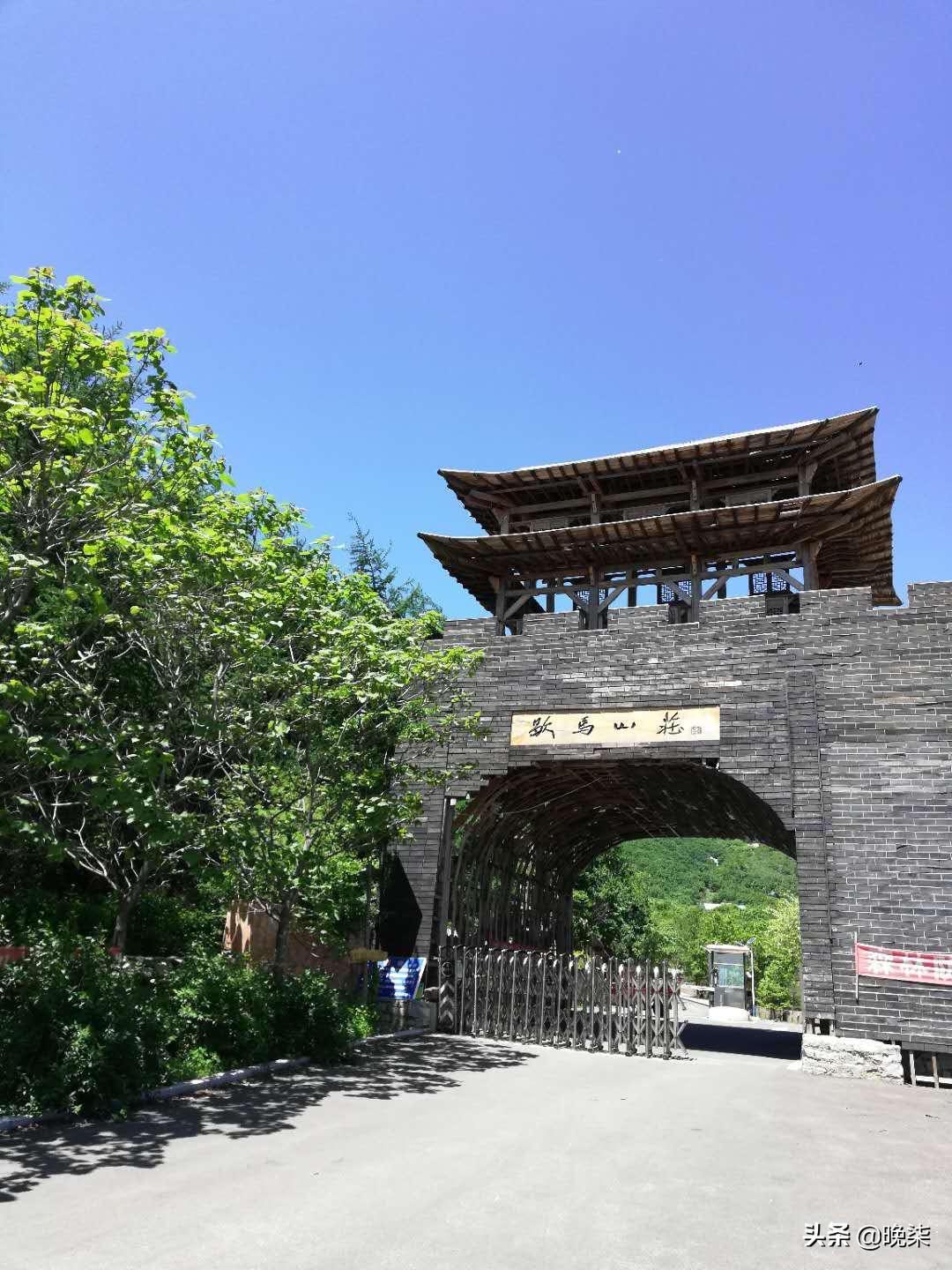 歇马杏北寨红杏,歇马杏花