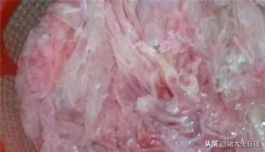 母猪胎衣怎么看猪的病,母猪胎衣怎么处理最好用