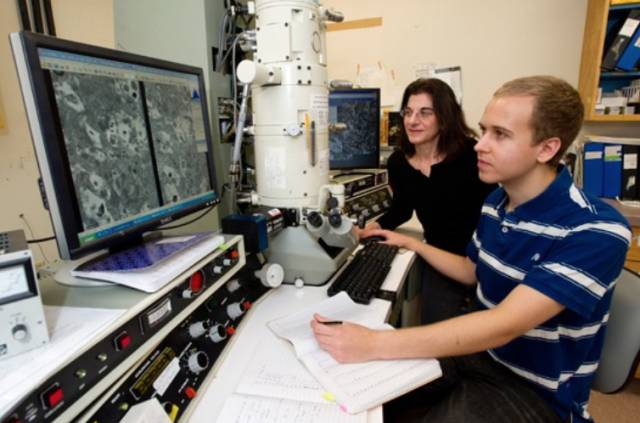 bostonuniversity,在波士顿的大学