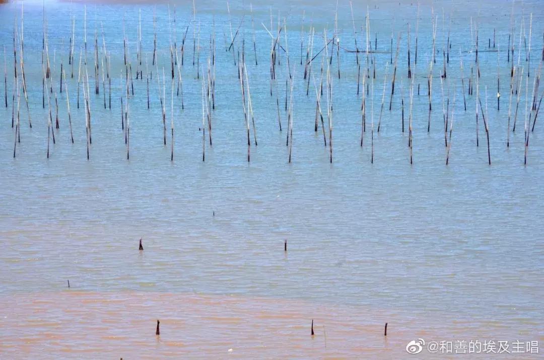 这么一片五彩滩涂奇幻仙境，超惊艳！在福建，厦门动车可以直达