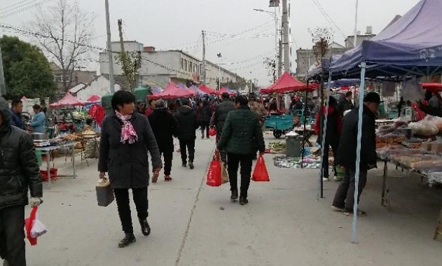 安徽定远藕塘豆腐乳,安徽滁州豆腐乳咋做