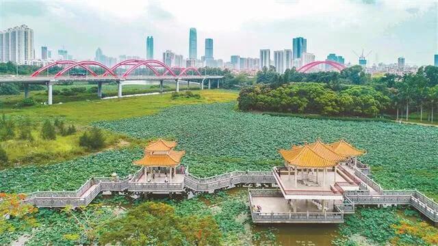 湖泊风景区推荐,深圳十大免费主题公园