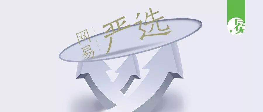 网易严选讲解,网易严选会突出重围吗