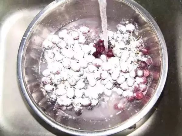 杨梅每一个大概有多少虫子,所有杨梅上都有果蝇吗