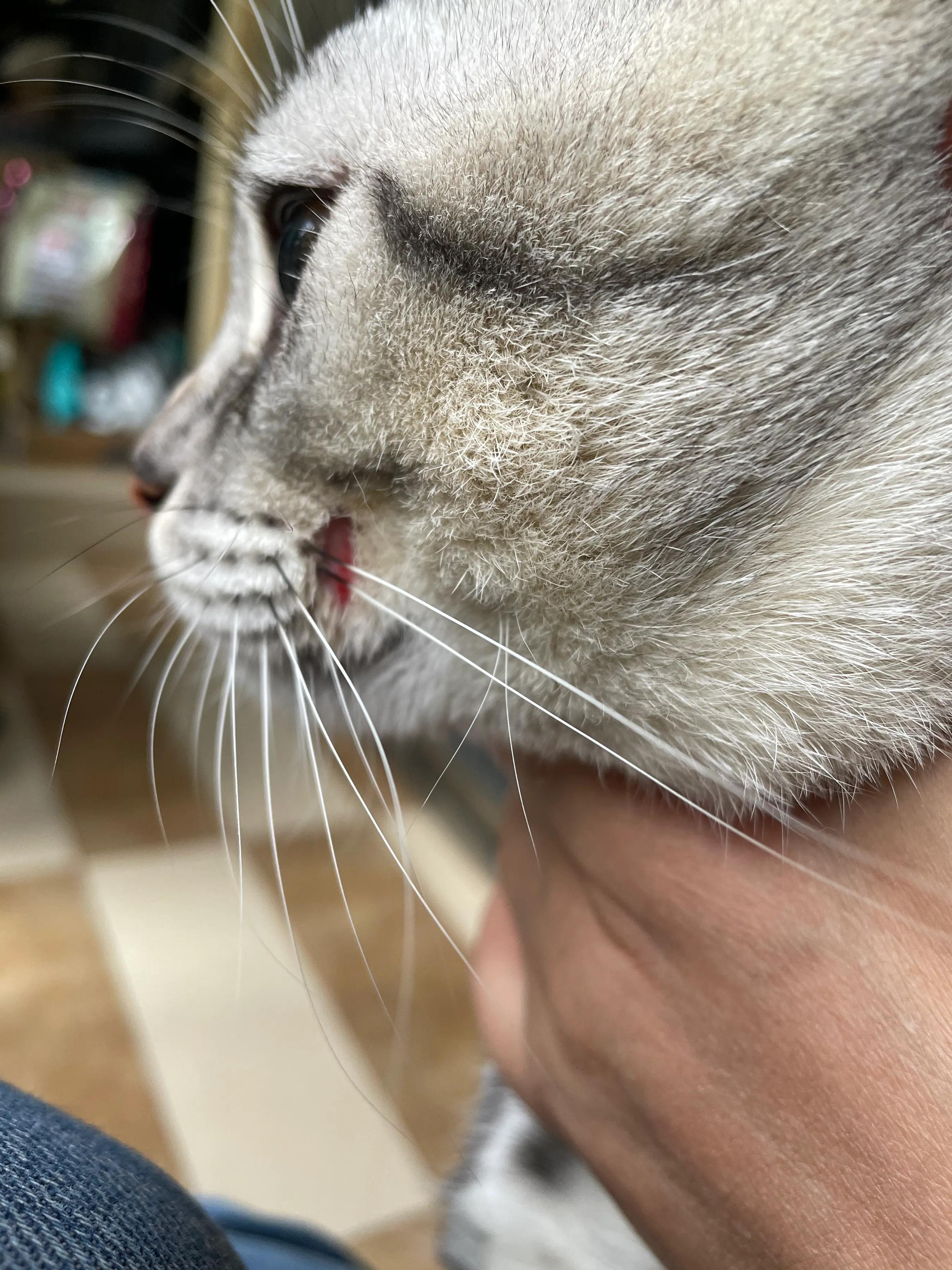 明天我的小屁屁要去深圳了