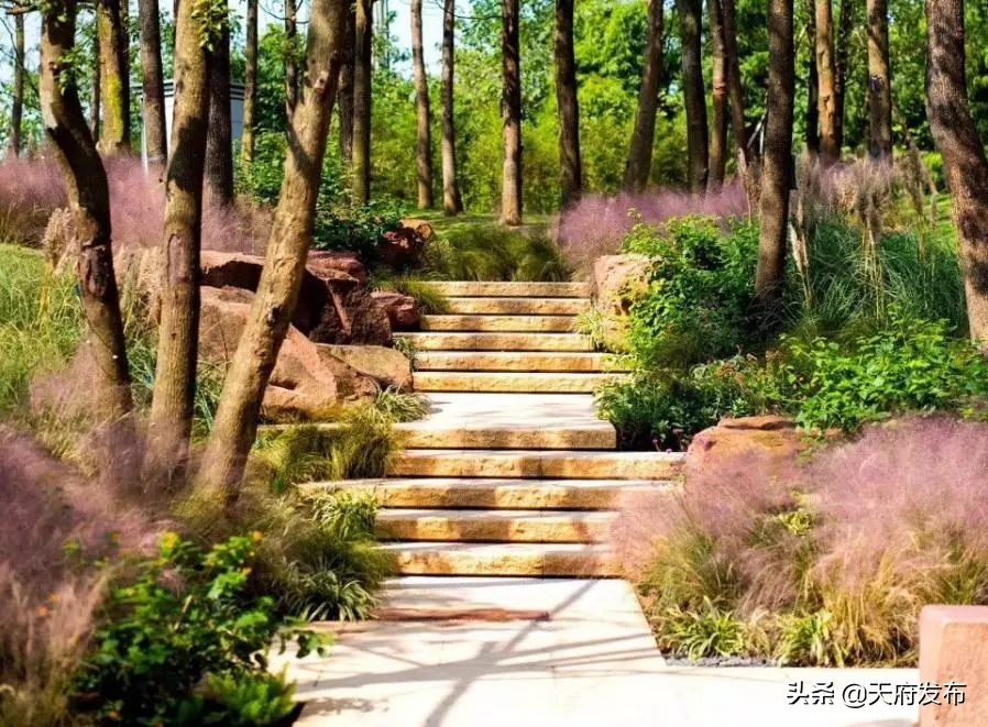 中秋假第2天！天府新区这些地方让你玩个够