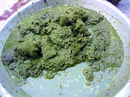 牛瘪火锅奇食记,牛瘪火锅加鲱鱼罐头加臭豆腐