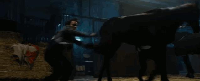 好爽！这绝壁是今年最佳R级片