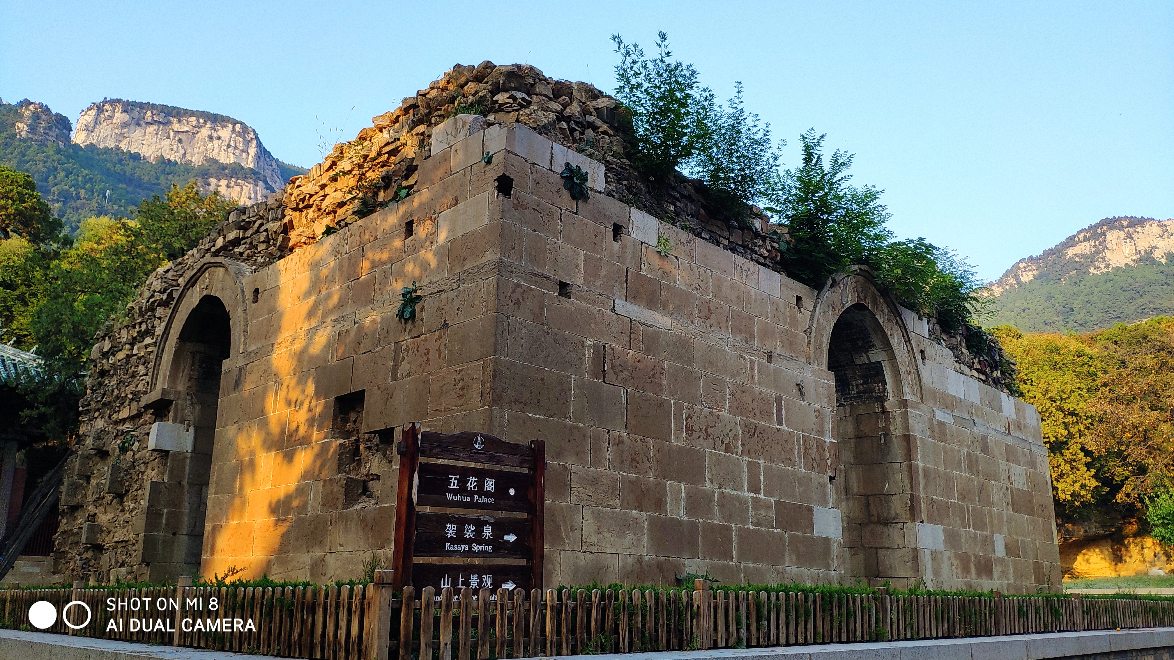 去济南灵岩寺什么必看,济南灵岩寺神树