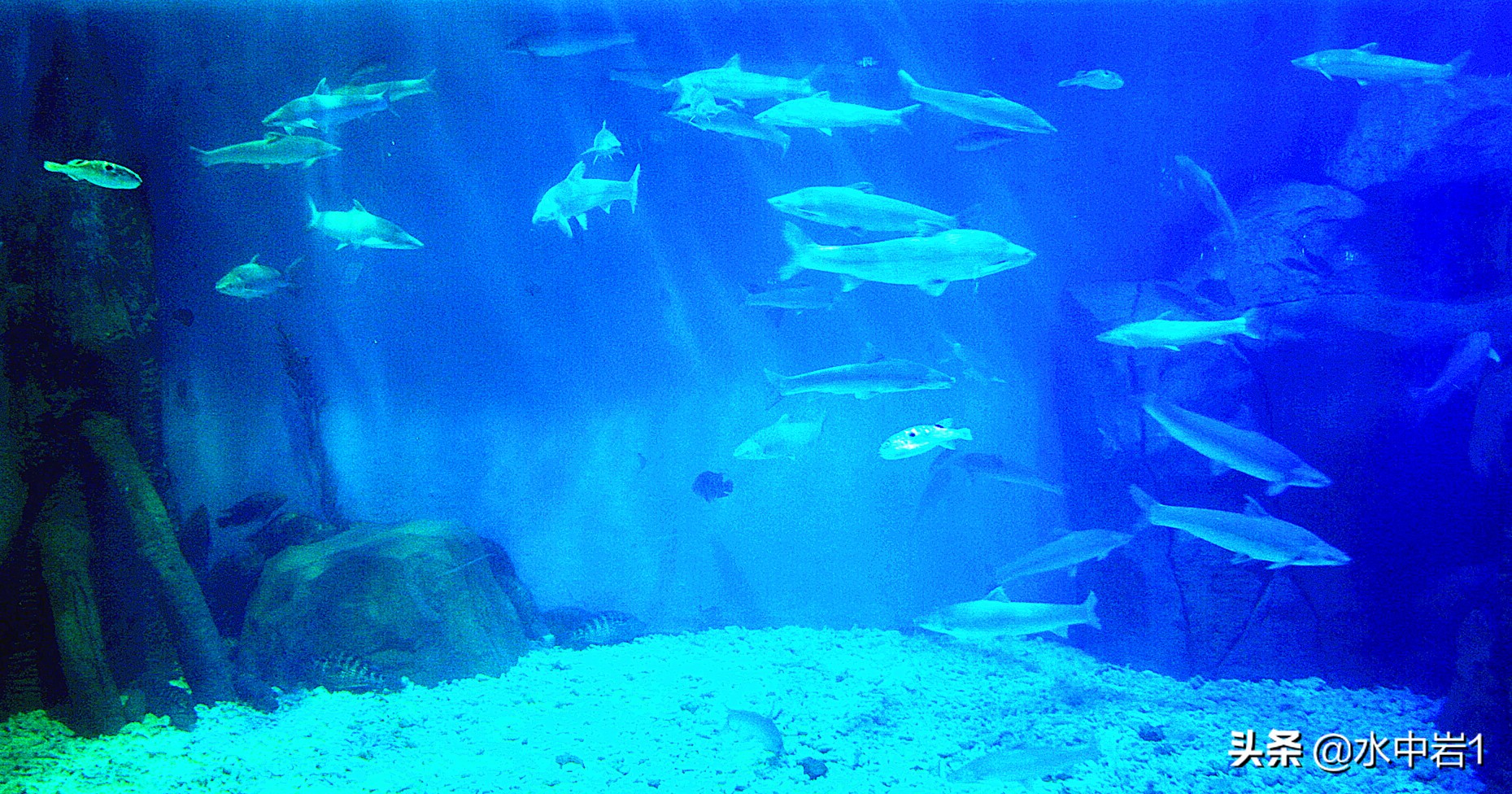 长江流域湿地生态环境保护,长江流域环境保护成果